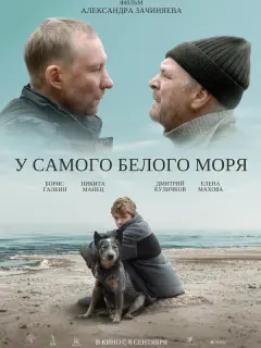 Борис Галкин, Никита Манец, Дмитрий Куличков, Елена Махова,